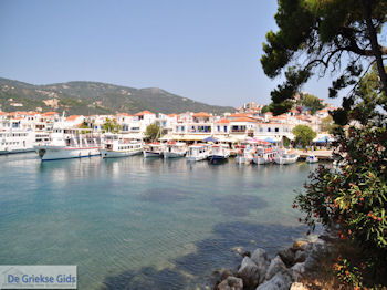 Pittoresk Skiathos foto 2 - Foto van https://www.grieksegids.nl/fotos/skiathos/350pixels/eiland-skiathos-083.jpg