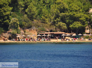 Strand Skiathos Palace Koukounaries - Skiathos - Foto van https://www.grieksegids.nl/fotos/skiathos/350pixels/eiland-skiathos-111.jpg