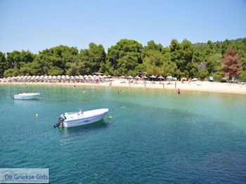 Het mooie strand van Koukounaries - Skiathos - foto 1 - Foto van https://www.grieksegids.nl/fotos/skiathos/350pixels/eiland-skiathos-117.jpg