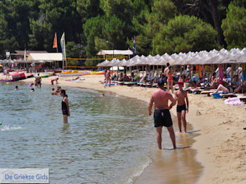 Het mooie strand van Koukounaries - Skiathos - foto 4 - Foto van https://www.grieksegids.nl/fotos/skiathos/350pixels/eiland-skiathos-120.jpg