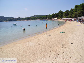 Het mooie strand van Koukounaries - Skiathos - foto 5 - Foto van https://www.grieksegids.nl/fotos/skiathos/350pixels/eiland-skiathos-121.jpg