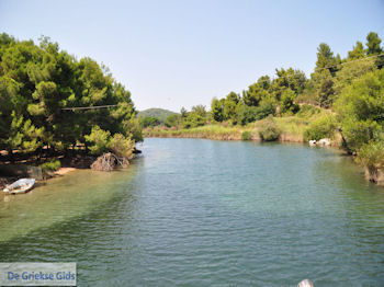 Beschermd gebied Koukounaries - Skiathos - foto 1 - Foto van https://www.grieksegids.nl/fotos/skiathos/350pixels/eiland-skiathos-123.jpg