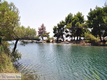 Beschermd gebied Koukounaries - Skiathos - foto 3 - Foto van https://www.grieksegids.nl/fotos/skiathos/350pixels/eiland-skiathos-125.jpg