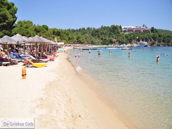 Het mooie strand van Koukounaries - Skiathos - foto 7 - Foto van https://www.grieksegids.nl/fotos/skiathos/350pixels/eiland-skiathos-139.jpg