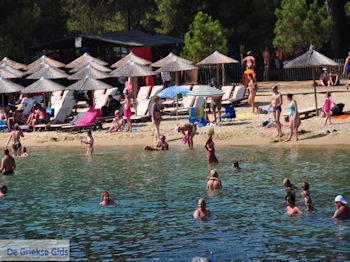 Het zandstrand van Koukounaries - Skiathos - foto 2 - Foto van https://www.grieksegids.nl/fotos/skiathos/350pixels/eiland-skiathos-147.jpg