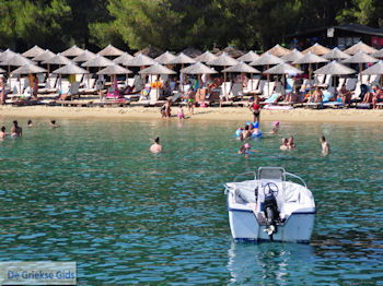 Het zandstrand van Koukounaries - Skiathos - foto 3 - Foto van https://www.grieksegids.nl/fotos/skiathos/350pixels/eiland-skiathos-148.jpg