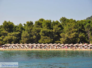 Het zandstrand van Koukounaries - Skiathos - foto 6 - Foto van https://www.grieksegids.nl/fotos/skiathos/350pixels/eiland-skiathos-151.jpg