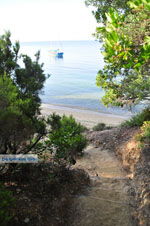 Maratha beach bij Koukounaries | Skiathos Sporaden Griekenland foto 3 - Foto van De Griekse Gids