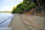 Maratha beach bij Koukounaries | Skiathos Sporaden Griekenland foto 5 - Foto van De Griekse Gids