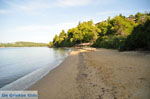 Maratha beach bij Koukounaries | Skiathos Sporaden Griekenland foto 7 - Foto van De Griekse Gids