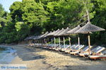 Maratha beach bij Koukounaries | Skiathos Sporaden Griekenland foto 9 - Foto van De Griekse Gids