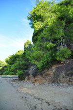 Maratha beach bij Koukounaries | Skiathos Sporaden Griekenland foto 13 - Foto van De Griekse Gids