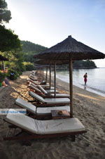 Maratha beach bij Koukounaries | Skiathos Sporaden Griekenland foto 14 - Foto van De Griekse Gids