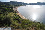 Aghia Paraskevi (Platanias beach) | Skiathos Sporaden Griekenland foto 2 - Foto van De Griekse Gids