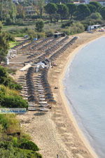 Aghia Paraskevi (Platanias beach) | Skiathos Sporaden Griekenland foto 6 - Foto van De Griekse Gids