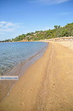 Aghia Paraskevi (Platanias beach) | Skiathos Sporaden Griekenland foto 14 - Foto van De Griekse Gids