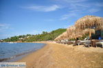 Aghia Paraskevi (Platanias beach) | Skiathos Sporaden Griekenland foto 16 - Foto van De Griekse Gids