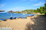 Aghia Paraskevi (Platanias beach) | Skiathos Sporaden Griekenland foto 22 - Foto van De Griekse Gids