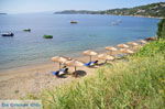 Megali Ammos (Ftelia) | Skiathos Sporaden Griekenland foto 2 - Foto van De Griekse Gids