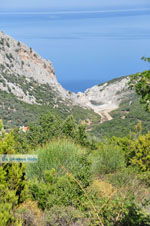 Nikotsara strand | Skiathos Sporaden Griekenland foto 1 - Foto van De Griekse Gids