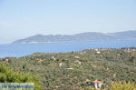 Skiathos stad en eilandjes tegenover | Sporaden Griekenland foto 1 - Foto van De Griekse Gids