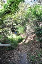 Wandelpaden bij Klooster Kechria | Skiathos Sporaden Griekenland foto 5 - Foto van De Griekse Gids