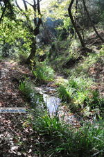 Wandelpaden bij Klooster Kechria | Skiathos Sporaden Griekenland foto 18 - Foto van De Griekse Gids