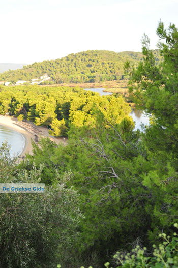 Koukounaries | Skiathos Sporaden Griekenland foto 4 - Foto van https://www.grieksegids.nl/fotos/skiathos/normaal/skiathos-grieksegids-023.jpg