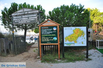 Koukounaries | Skiathos Sporaden Griekenland foto 5 - Foto van https://www.grieksegids.nl/fotos/skiathos/normaal/skiathos-grieksegids-024.jpg