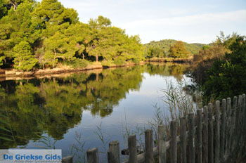 Koukounaries | Skiathos Sporaden Griekenland foto 8 - Foto van https://www.grieksegids.nl/fotos/skiathos/normaal/skiathos-grieksegids-027.jpg