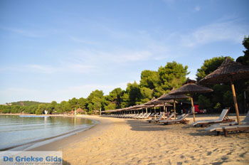 Koukounaries | Skiathos Sporaden Griekenland foto 9 - Foto van https://www.grieksegids.nl/fotos/skiathos/normaal/skiathos-grieksegids-028.jpg