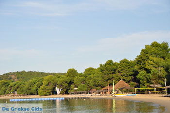 Koukounaries | Skiathos Sporaden Griekenland foto 10 - Foto van https://www.grieksegids.nl/fotos/skiathos/normaal/skiathos-grieksegids-029.jpg