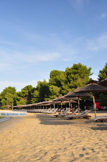 Koukounaries | Skiathos Sporaden Griekenland foto 11 - Foto van https://www.grieksegids.nl/fotos/skiathos/normaal/skiathos-grieksegids-030.jpg