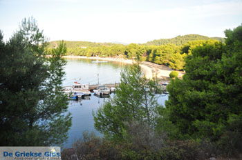 Koukounaries | Skiathos Sporaden Griekenland foto 12 - Foto van https://www.grieksegids.nl/fotos/skiathos/normaal/skiathos-grieksegids-031.jpg