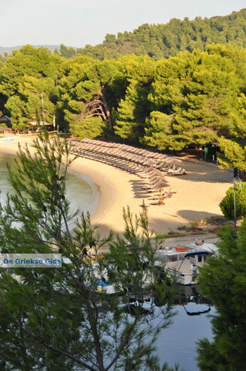 Koukounaries | Skiathos Sporaden Griekenland foto 13 - Foto van https://www.grieksegids.nl/fotos/skiathos/normaal/skiathos-grieksegids-032.jpg