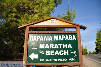 Maratha beach bij Koukounaries | Skiathos Sporaden Griekenland foto 1 - Foto van https://www.grieksegids.nl/fotos/skiathos/normaal/skiathos-grieksegids-033.jpg