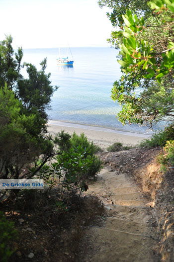 Maratha beach bij Koukounaries | Skiathos Sporaden Griekenland foto 3 - Foto van https://www.grieksegids.nl/fotos/skiathos/normaal/skiathos-grieksegids-035.jpg