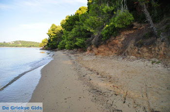 Maratha beach bij Koukounaries | Skiathos Sporaden Griekenland foto 5 - Foto van https://www.grieksegids.nl/fotos/skiathos/normaal/skiathos-grieksegids-037.jpg