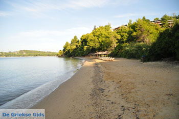 Maratha beach bij Koukounaries | Skiathos Sporaden Griekenland foto 7 - Foto van https://www.grieksegids.nl/fotos/skiathos/normaal/skiathos-grieksegids-039.jpg