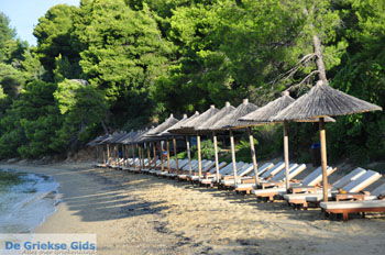 Maratha beach bij Koukounaries | Skiathos Sporaden Griekenland foto 9 - Foto van https://www.grieksegids.nl/fotos/skiathos/normaal/skiathos-grieksegids-041.jpg