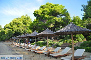 Maratha beach bij Koukounaries | Skiathos Sporaden Griekenland foto 11 - Foto van https://www.grieksegids.nl/fotos/skiathos/normaal/skiathos-grieksegids-043.jpg