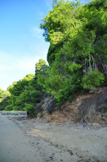 Maratha beach bij Koukounaries | Skiathos Sporaden Griekenland foto 13 - Foto van https://www.grieksegids.nl/fotos/skiathos/normaal/skiathos-grieksegids-045.jpg