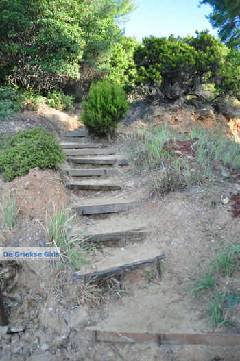 Maratha beach bij Koukounaries | Skiathos Sporaden Griekenland foto 16 - Foto van https://www.grieksegids.nl/fotos/skiathos/normaal/skiathos-grieksegids-048.jpg