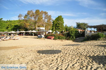 Troulos beach | Skiathos Sporaden Griekenland foto 8 - Foto van https://www.grieksegids.nl/fotos/skiathos/normaal/skiathos-grieksegids-056.jpg