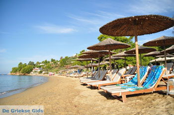 Troulos beach | Skiathos Sporaden Griekenland foto 10 - Foto van https://www.grieksegids.nl/fotos/skiathos/normaal/skiathos-grieksegids-058.jpg