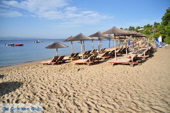 Troulos beach | Skiathos Sporaden Griekenland foto 14 - Foto van https://www.grieksegids.nl/fotos/skiathos/normaal/skiathos-grieksegids-062.jpg