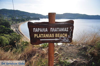 Aghia Paraskevi (Platanias beach) | Skiathos Sporaden Griekenland foto 1 - Foto van https://www.grieksegids.nl/fotos/skiathos/normaal/skiathos-grieksegids-067.jpg