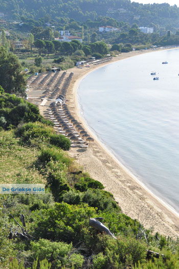 Aghia Paraskevi (Platanias beach) | Skiathos Sporaden Griekenland foto 3 - Foto van https://www.grieksegids.nl/fotos/skiathos/normaal/skiathos-grieksegids-069.jpg