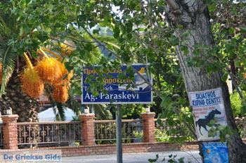 Aghia Paraskevi (Platanias beach) | Skiathos Sporaden Griekenland foto 9 - Foto van https://www.grieksegids.nl/fotos/skiathos/normaal/skiathos-grieksegids-075.jpg