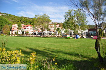 Aghia Paraskevi (Platanias beach) | Skiathos Sporaden Griekenland foto 10 - Foto van https://www.grieksegids.nl/fotos/skiathos/normaal/skiathos-grieksegids-076.jpg
